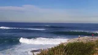 coogee surf [upl. by Niro]