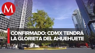 ¡Ganó el Ahuehuete CdMx anuncia árbol ganador para sustituir la palma de Reforma [upl. by Rebm600]