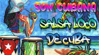 Best of Salsaloco De Cuba  Salsa Bachata Samba Mambo Baila Loco💃Salsa Cubana [upl. by Lednar]