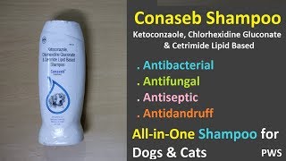 Conaseb Dog Shampoo Infomration  Antibacterial Antifungal Anti Dandruff [upl. by Nnairahs]