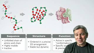 81 Introduction to Structural Bioinformatics [upl. by Serolod]