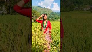 Jam Bho Maili  Prakash Dutraj  Shanti Shree Pariyar  Ft Roshni amp Niks  New Lok Dohori Song 2078 [upl. by Skiest]