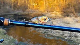 Tiny Cutthroat Trout Jointed CrankBait  One Day Build to Catch [upl. by Clancy]