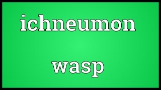 Ichneumon wasp Meaning [upl. by Yesima]