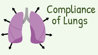 Compliance of Lungs [upl. by Manton]