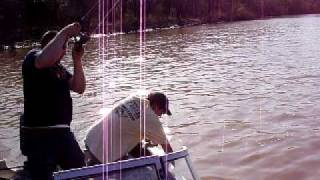 Luke Spoonbill Fishing at Twin Bridges Neosho River [upl. by Prager]