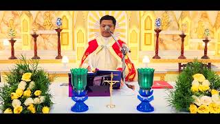 Holy Mass October 28 Saturday 530 AM I Malayalam I Syro Malabar I Fr Bineesh Augustine [upl. by Jona81]