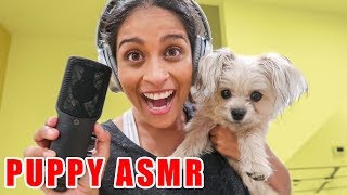 MY DOG TRIES ASMR EATING amp PLAYING [upl. by Ybhsa]