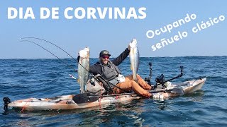 Pesca de Corvinas con señuelo Clásico [upl. by Lihka]