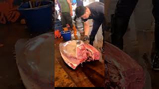 The bluefin tuna belly meat priced over 10000 [upl. by Kippie745]