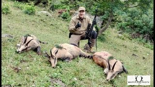 Burris Laserscope III Chamois Hunt Slovenia [upl. by Nnarual]