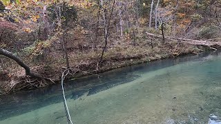 Montauk State Park and October Trout on Dry Flies [upl. by Sivatco]