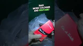 Crazy Amazing Dumpster Find 100s Worth Of New Cologne New Dumpster Dive Video June 2024 [upl. by Tana]