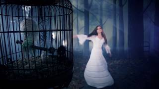 Stevie Nicks  Secret Love Official Music Video [upl. by Atteynot]