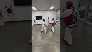 Black Belt Sparring martialarts taekwondo [upl. by Madelle932]