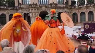 STILTLIFE StreeTTheater NARANJA 2017 [upl. by Nekcerb720]