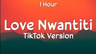 CKay  Love Nwantiti TikTok Remix  1 Hour Loop [upl. by Hama783]