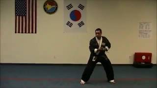 Kuk Moo Kwan Hapkido Forms [upl. by Leahcimluap837]