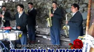 Orquesta Triunfadores de Ayacucho  Huaynos pampinos [upl. by Heck266]