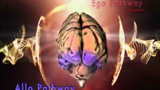 Dr James Austin Egocentric and Allocentric Brain Pathways [upl. by Tillford173]