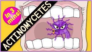 Actinomycetes Microbiology Morphology pathophysiology symptoms diagnosis treatment [upl. by Sievert968]