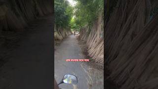 অপরূপ গ্রাম বাংলার পথে পথে reels Amazing village shorts [upl. by Nej]