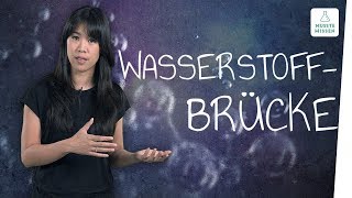 Was sind Wasserstoffbrückenbindungen I musstewissen Chemie [upl. by Annayat]