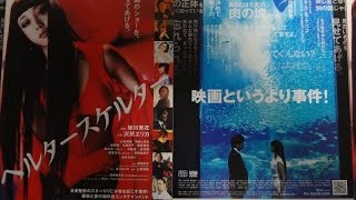 ヘルタースケルター B 2012 映画チラシ 沢尻エリカ 大森南朋 綾野剛 水原希子 [upl. by Ayam]