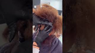 My biggest fear as a hairstylistshorts hairstyles sewing fypシ゚viral haircare naturalhair [upl. by Aeslehs]