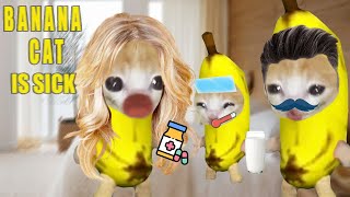 BANANA CAT IS SICK HAPPY CAT MEME 26 happycatmeme funny cartoon bananacat happycat cat meme [upl. by Heuser]