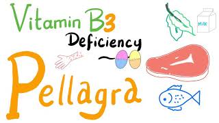 Pellagra Vitamin B3 Deficiency  NAD NADH Nicotinic Acid  Diet amp Nutrition [upl. by Davey]