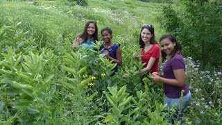 SciGirls 304 Butterfly Diaries [upl. by Elva]