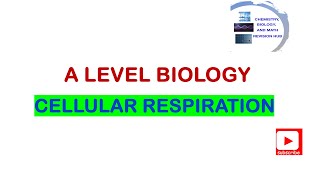 A level  Biology  Topic 7A  Cellular respiration  Pearson Edexcel [upl. by Drehcir]