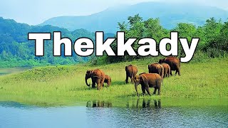 Thekkady tourist place Tamil  place to visitthekkady  Travel Torusim Tourism short travelvlog [upl. by Ttevi]