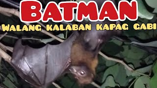 Nagutom c batman sa laban nila ni wacky😁 [upl. by Felicia]