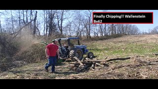 Wallenstein BX62 Woodchipper making real nice chips [upl. by Jemy]