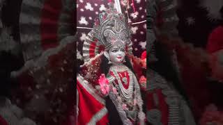 radhakrishnashortsvideo vrindavan बिहारी अद्भुत दर्शन viral live radheradhe [upl. by Oeram]