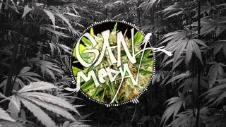 Damian Marley  Welcome to Jamrock GRiZ Remix [upl. by Eendys]