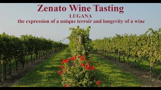 Zenato Wine Tasting  Lugana [upl. by Farman170]