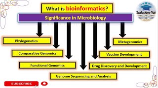 What is bioinformatics  significance  phylogenetics  metagenomics  genomics  sequencing [upl. by Llerej218]