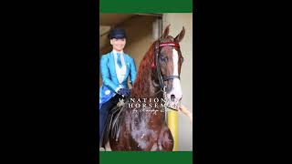 Saddlebred Classic Horse Show 2018 [upl. by Ardnuhsal]