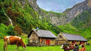 Switzerland Countryside  Relaxing walk in Switzerlands most beautiful villages  rain ambience [upl. by Selbbep880]