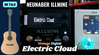 Reverb Neunaber illumine No Talk [upl. by Nnaik402]