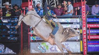 Grande FINAL do Rodeiode de José Bonifácio SP 2024 ao vivo [upl. by Aivat899]