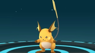 Evolving Pikachu Raichu Pokémon GO [upl. by Manus866]