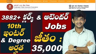 Employees State Insurance Corporation 3882 Upper Division Clerk amp MTS Jobs  ESIC Recruitment 2022 [upl. by Nikos945]