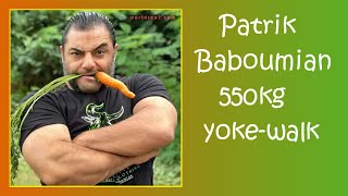 Pt 22 Baboumian  vegan  550kg yokewalk  PeTA [upl. by Dachy]