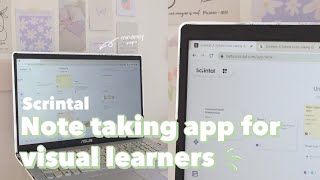 DIGITAL NOTE TAKING APP FOR VISUAL LEARNERS I How to use Scrintal app [upl. by Bazar]