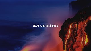 maunaleo  kealii reichel lyrics [upl. by Lavella]