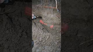 I found a real box treasur ehunt metaldetecting treasurehunt [upl. by Nirel148]